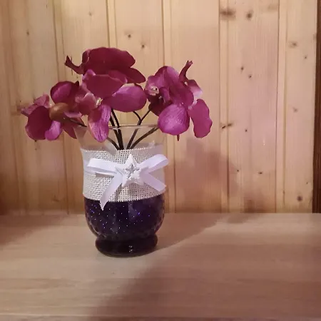 Studio Apartman Betula Mrkopalj
