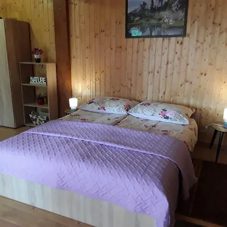 Studio Apartman Betula Apartment Mrkopalj
