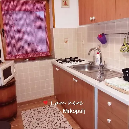 Apartment Studio Apartman Betula Mrkopalj
